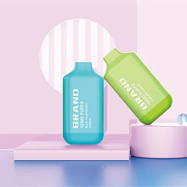 Large Ml Disposable E-cigarette